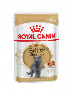  Royal Canin паучи кусочки в соусе для Британской короткошерстной кошки старше 12 месяцев